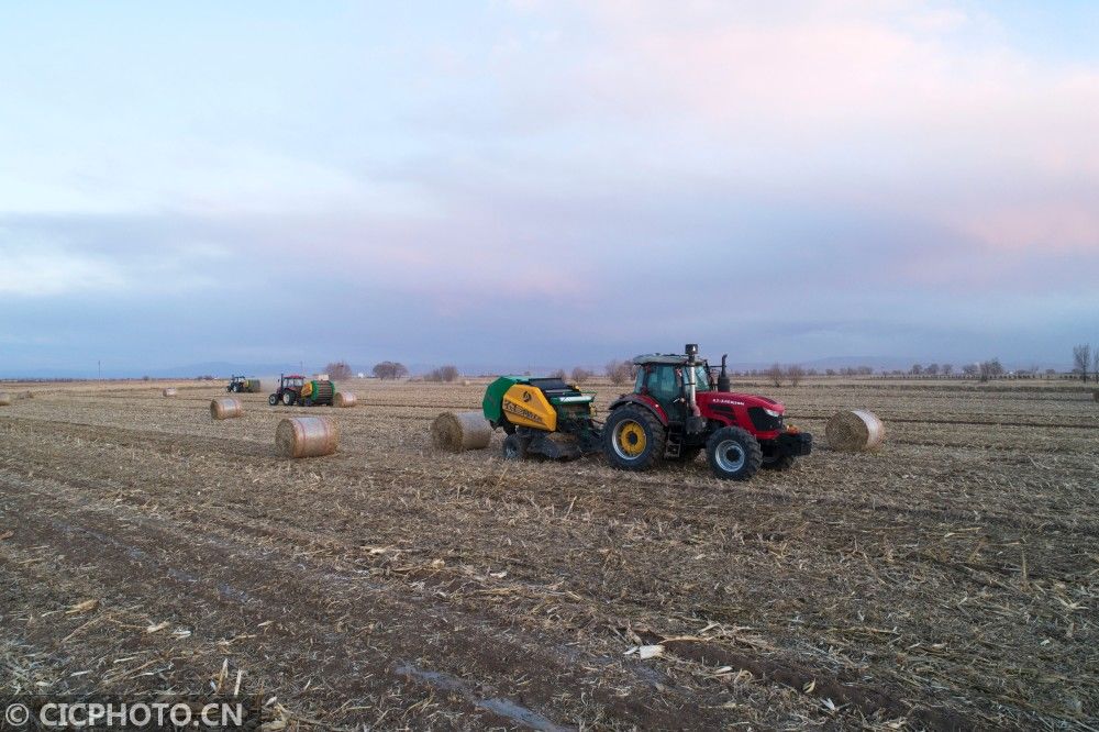  山东省|防疫不误农时 全国各地奏响春天“交响曲”