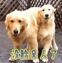 大胸妹纸也能穿无钢圈内衣?不点开你怎么知道它有多舒服