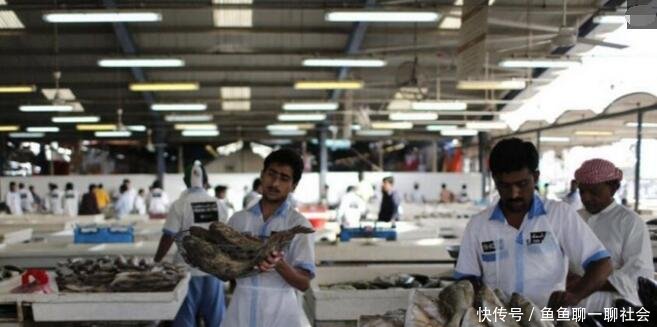 看看迪拜平民们每天都吃什么! 中国菜贩哭了!