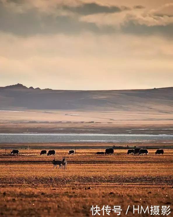 13条进藏路线图!最全了