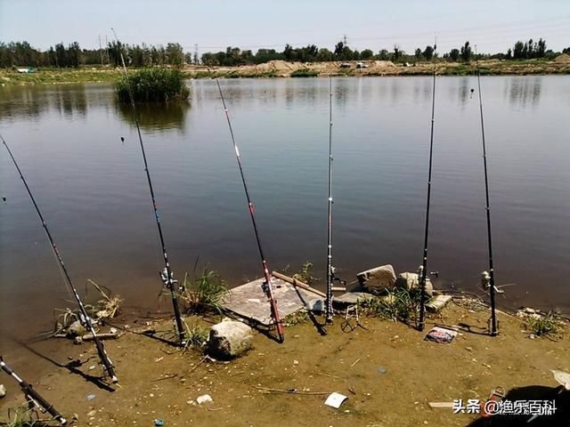 别怕夏季钓鱼不知道钓深还是钓浅，明白这两点后就能很好的判断！