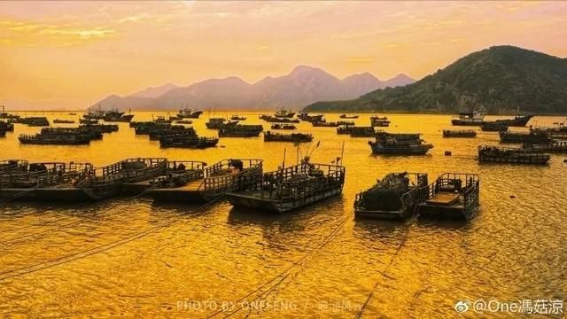 霞浦海域惊现中华白海豚，央视新闻联播都报导了