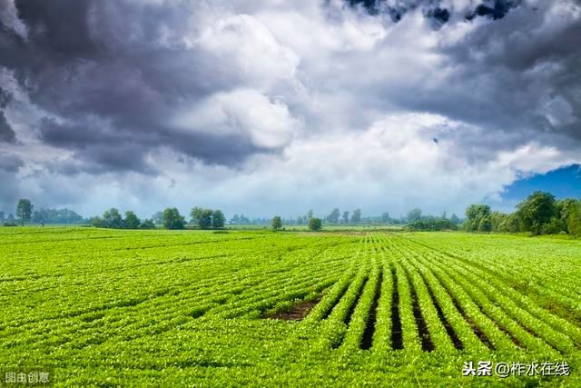  #土地确权#农村土地确权后对农民的影响