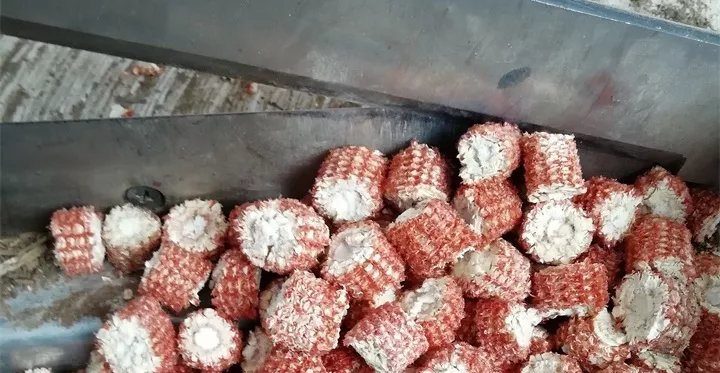 『自制』养兰花总是烂根?用这种自制“料”,疏松透气、根不烂根,好管理