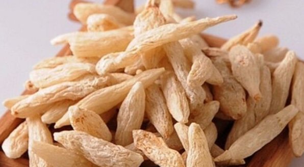  不死草|在乡下一种野草，人称“不死草”，人们用它泡水喝，价值