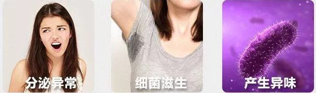 你沐浴后的味道，根本让人把持不住!留香24小时，比喷了大牌香水