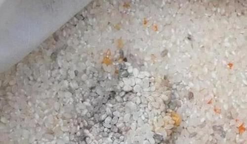  【方法】3种“吃食”变质？不能食用就养花用，按照方法处理是天然肥料