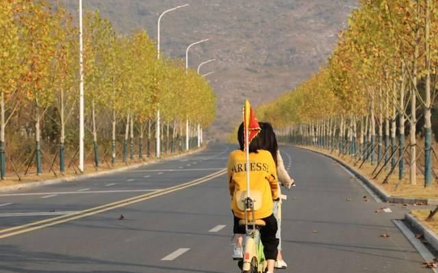 最适合发呆、晒太阳、撸猫的日子，大约在冬季