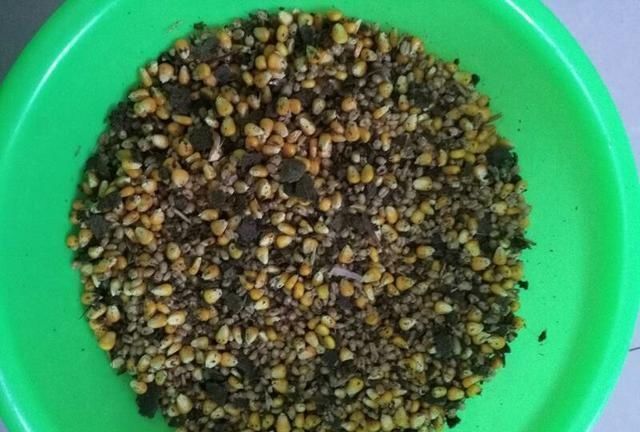  【自制】「自制鱼饵」窝料制作千千万，适合自己的才最佳