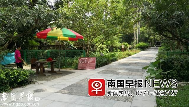 广西药用植物园非开放时间谢绝入园，市民想吃“免费大餐”