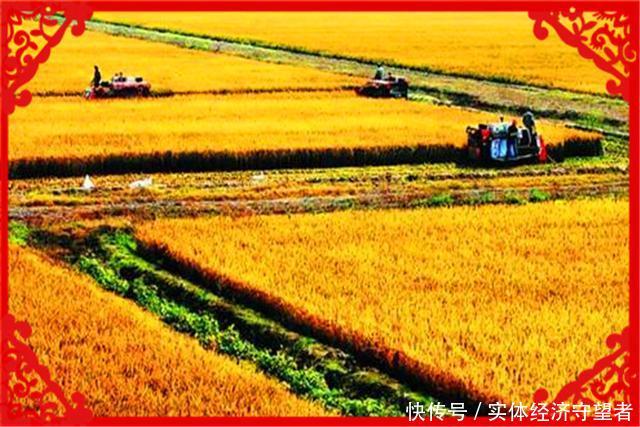  #奶牛#现在的农村，有哪些能一年挣20万的赚钱途径？推荐几个供参考