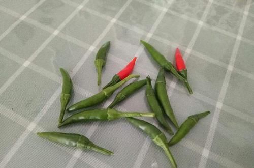  【辣椒】在家养辣椒，花朵色彩鲜艳很好看，不结果怎么办