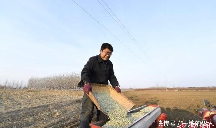  [牛春富]河北种粮大户的春耕：不离乡土 种粮“生金”