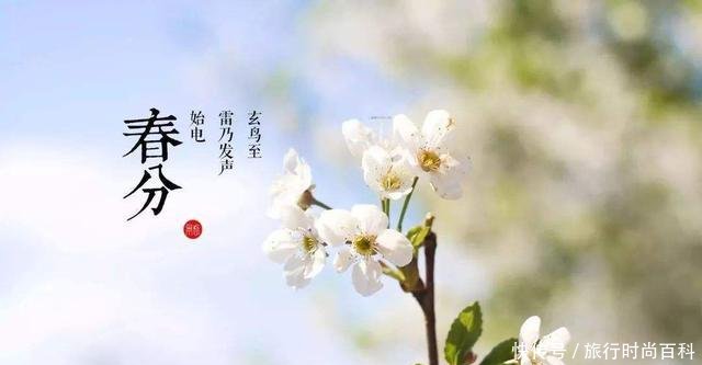  『解决』“春分”到小鱼闹，鲫鱼变得不好钓！巧用小鸡饲粒解决烦恼