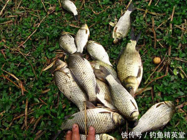 『风向』钓鱼和刮风有什么联系?能回答这三个问题,说明你钓鱼有些年头了