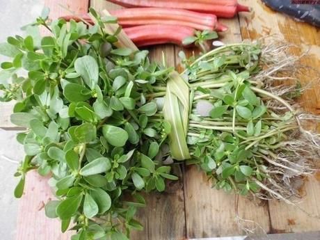 睡前洗脸放点它，7天让斑点无影无踪，10天皮肤又白又嫩