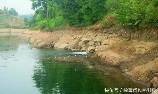  试试：钓鱼必杀技：久坐无鱼咬钩，试试这些狠招数，咬钩量翻几倍！