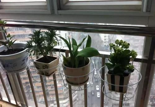  [吊起来养]阳台这样种花, 可以美上一整年, 整个小区都会羡慕你!