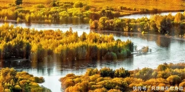 呼伦贝尔的秋天，美的太高级