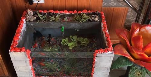  花钱买：鱼缸不用花钱买了，老爸裁开泡沫箱来养鱼，如同砖砌的，省钱好看