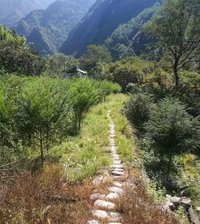  「大若岩镇」温州芙蓉岭古道，浙江省十大人文古道之一