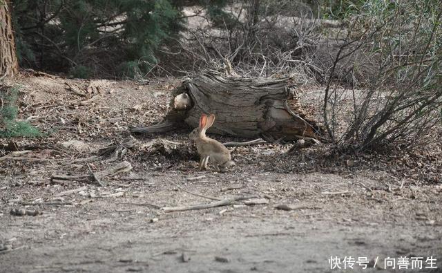 ＂一片荒漠依靠“输液”变成了湖泊，中国又创造了奇迹！＂