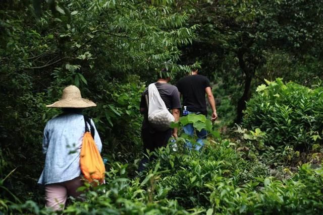 海峰的走山日记:因为羊桃的秋风岭穿越
