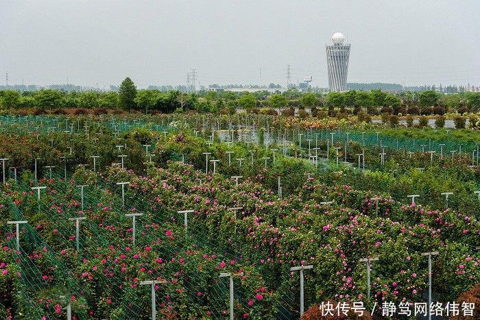 江苏是拥有最多的智慧城市, 达到了9个