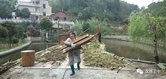 央视质问：我让你查大棚，谁让你一刀切了？