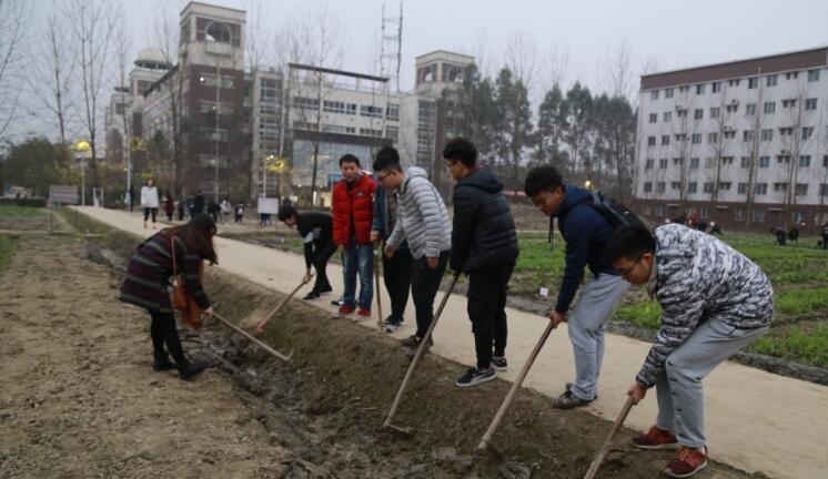 未来5年,农村将面临“大洗牌”,这3样东西可能将消失,赶紧看看！