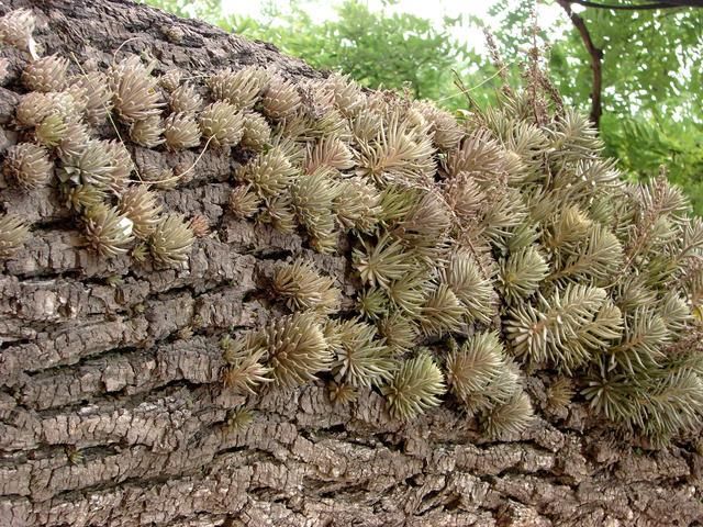 两千多年前秦始皇停灵的井陉古驿道，石家庄之厚重可见一斑