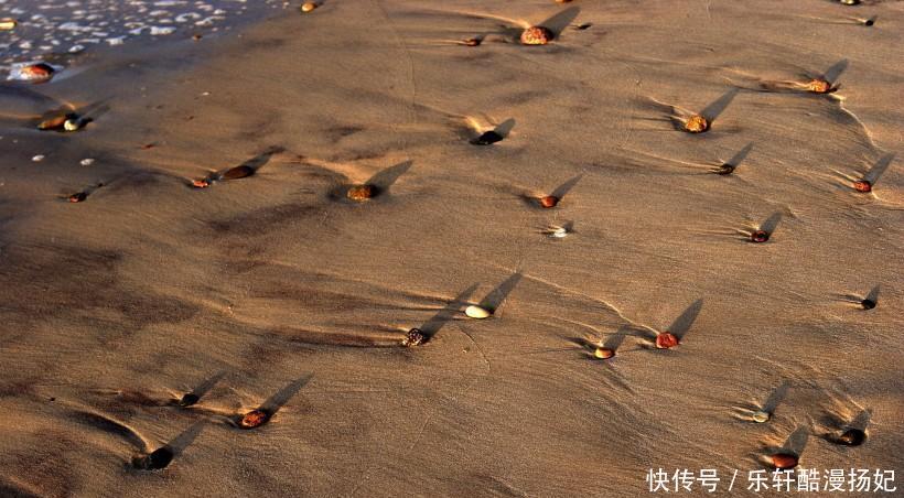  【潜力】吃苦耐劳，坚韧勇敢的星座，潜力很大，迟早出人头地