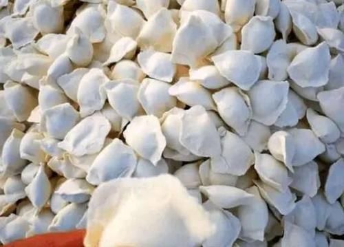 看北方人是如何冻饺子的,南方人表示看不懂,网友:太“壕”