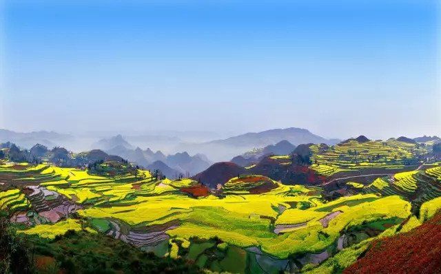 金秋贵州 这些田间地头要美哭了!