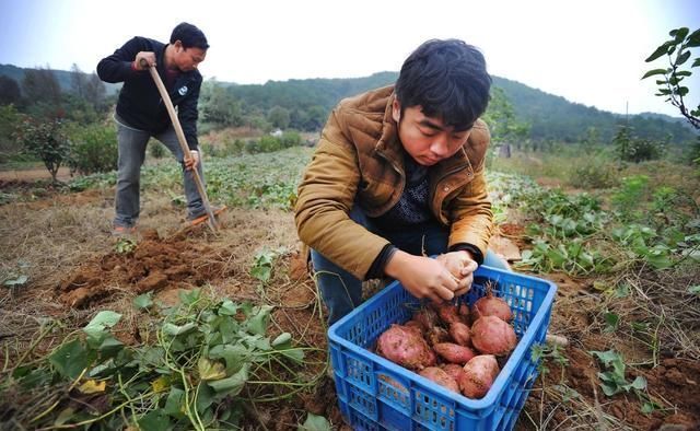 在农村创业不一定非要围绕土地做文章！在农村做什么生意赚钱呢？
