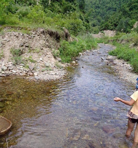  【老桩】农村“穷养”多肉,一养一个大老桩,群生养爆盆