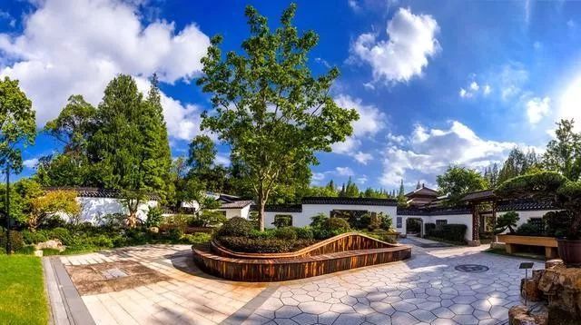 国内最大的专类盆景园,江南园林海派风格美不胜收