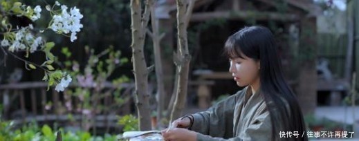 李子柒是怎么能红的