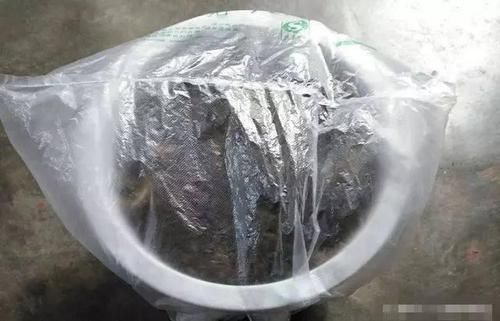 『还能』野外挖一棵“枸杞树”,做成小盆景,挂满红果子,美白又养颜