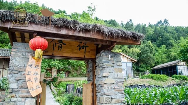  「田园」在乡下改造一个小院——天天都是乡村田园梦，生活如此惬意