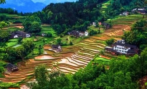 重庆有个镇听起来让人感到汗流浃背，为什么不少游客反而去避暑？