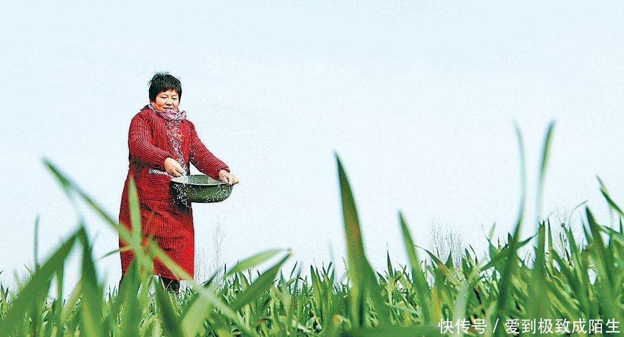  「忍不住」河南人为什么被全国骂 忍不住想说几句