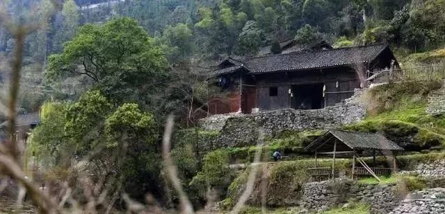  庭院：乡村的庭院，大家为什么这么喜欢