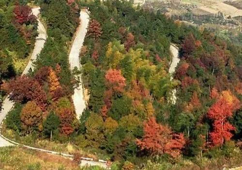 浙江5条古道赏秋景 赏秋地图不容错过