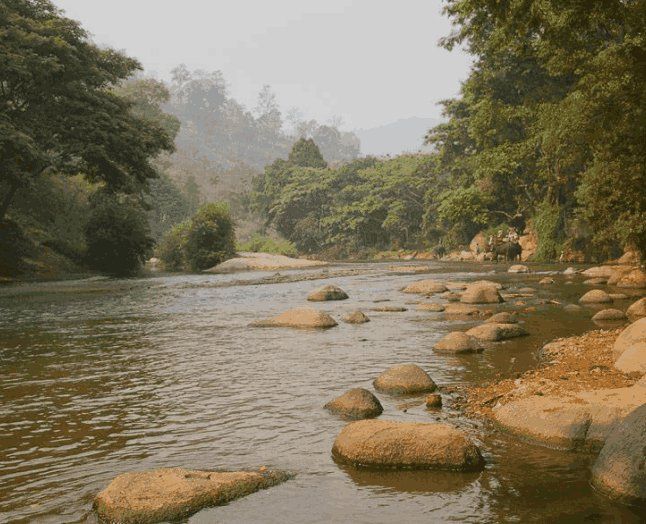 世界上最窄的河流!宽度仅有4厘米,用筷子都能搭成桥