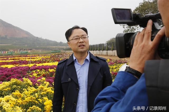 郑州一村庄500亩菊花满山绽放 对外免费游客爆棚