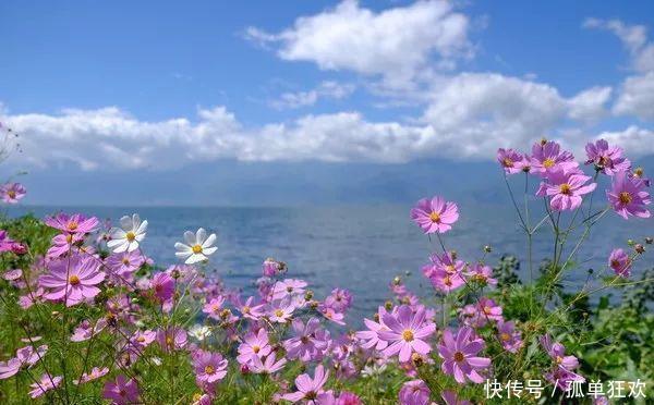 秋季的大理究竟有多美,你来了才知道!