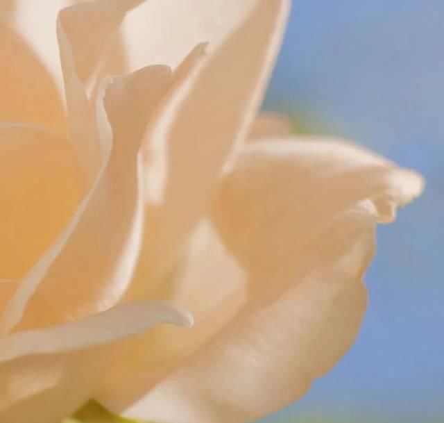  [大圣不空]这样调色，太温柔治愈了！