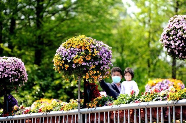  『花展』2020上海（国际）花展开幕