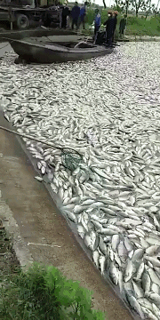 要热到40-45℃？！高温热害席卷22省